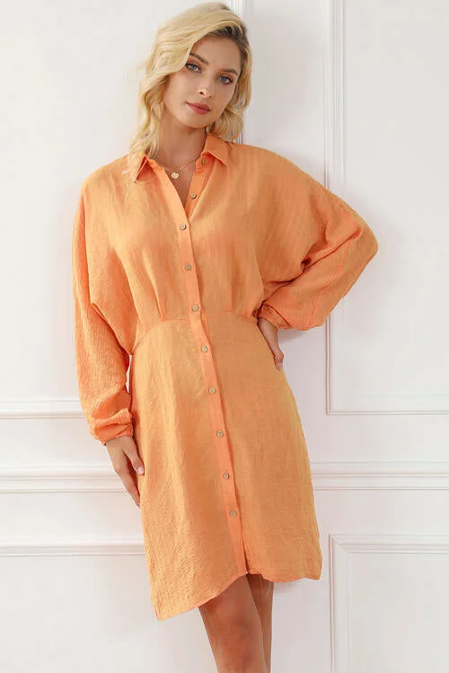 Texture Button Up Balloon Sleeve Shirt Dress